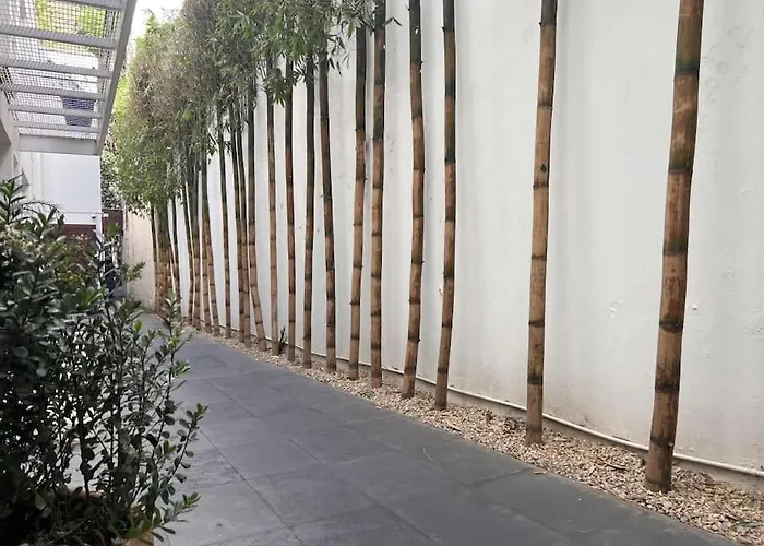 Condesa Amsterdam 201 Cozy 1 Bed 1bath On Amsterdam Av * Mexico City