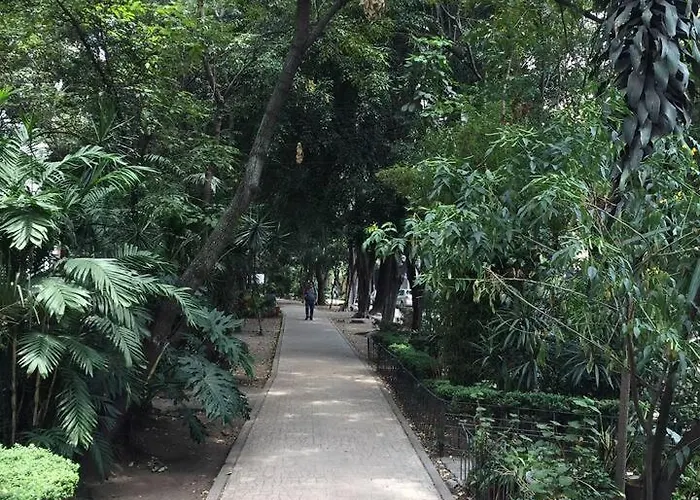 Condesa Amsterdam 201 Cozy 1 Bed 1bath On Amsterdam Av * Mexico City